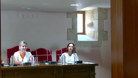 Pleno de control